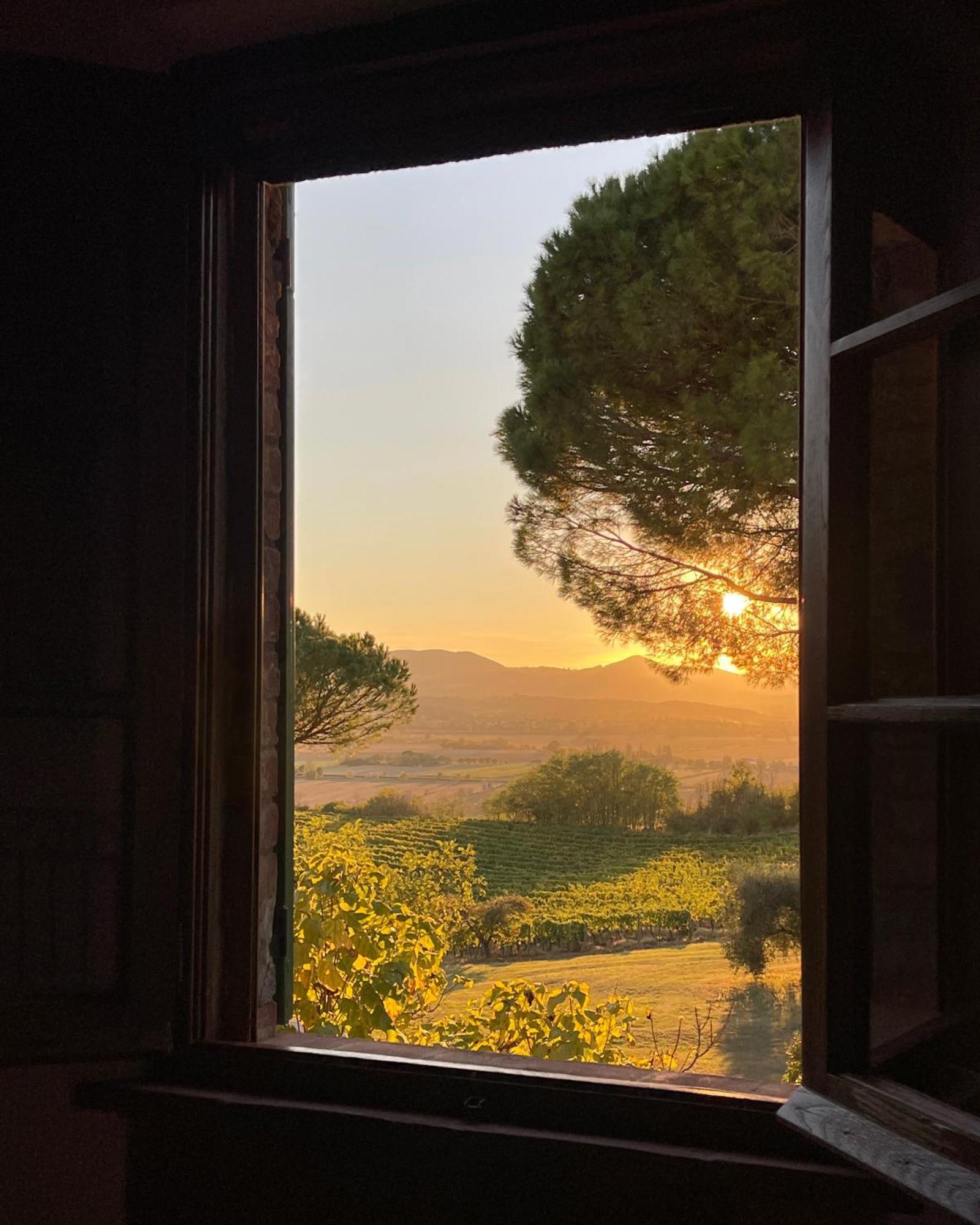 Villa Cozzano Pozzuolo Стая снимка