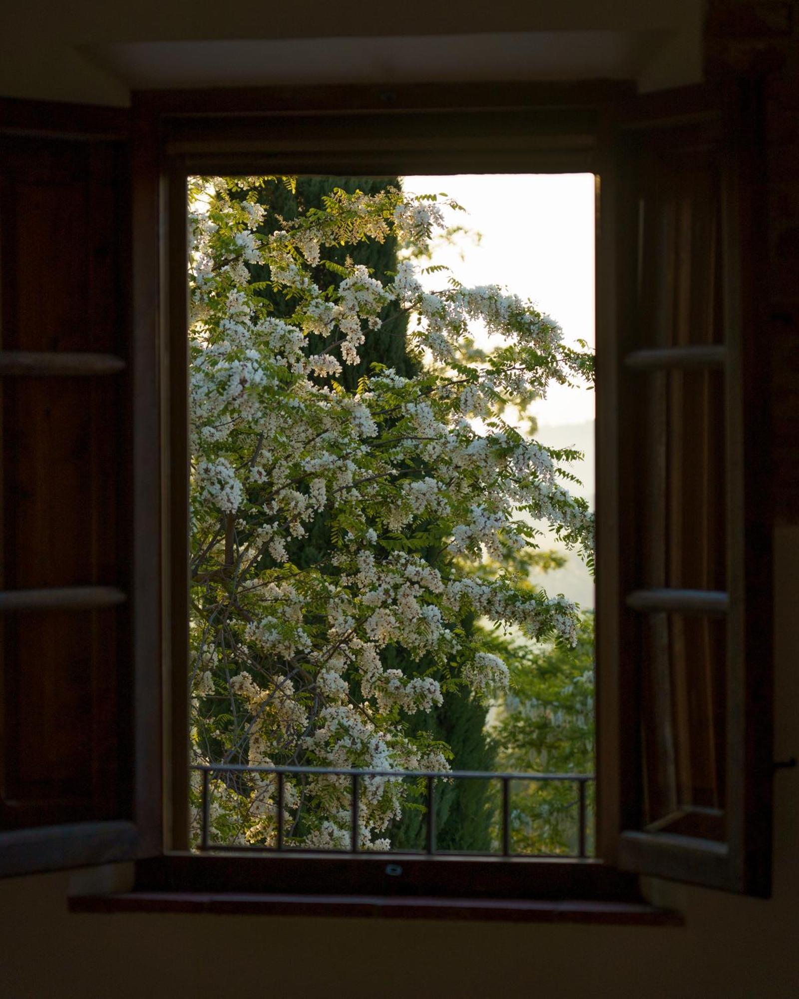 Villa Cozzano Pozzuolo Стая снимка